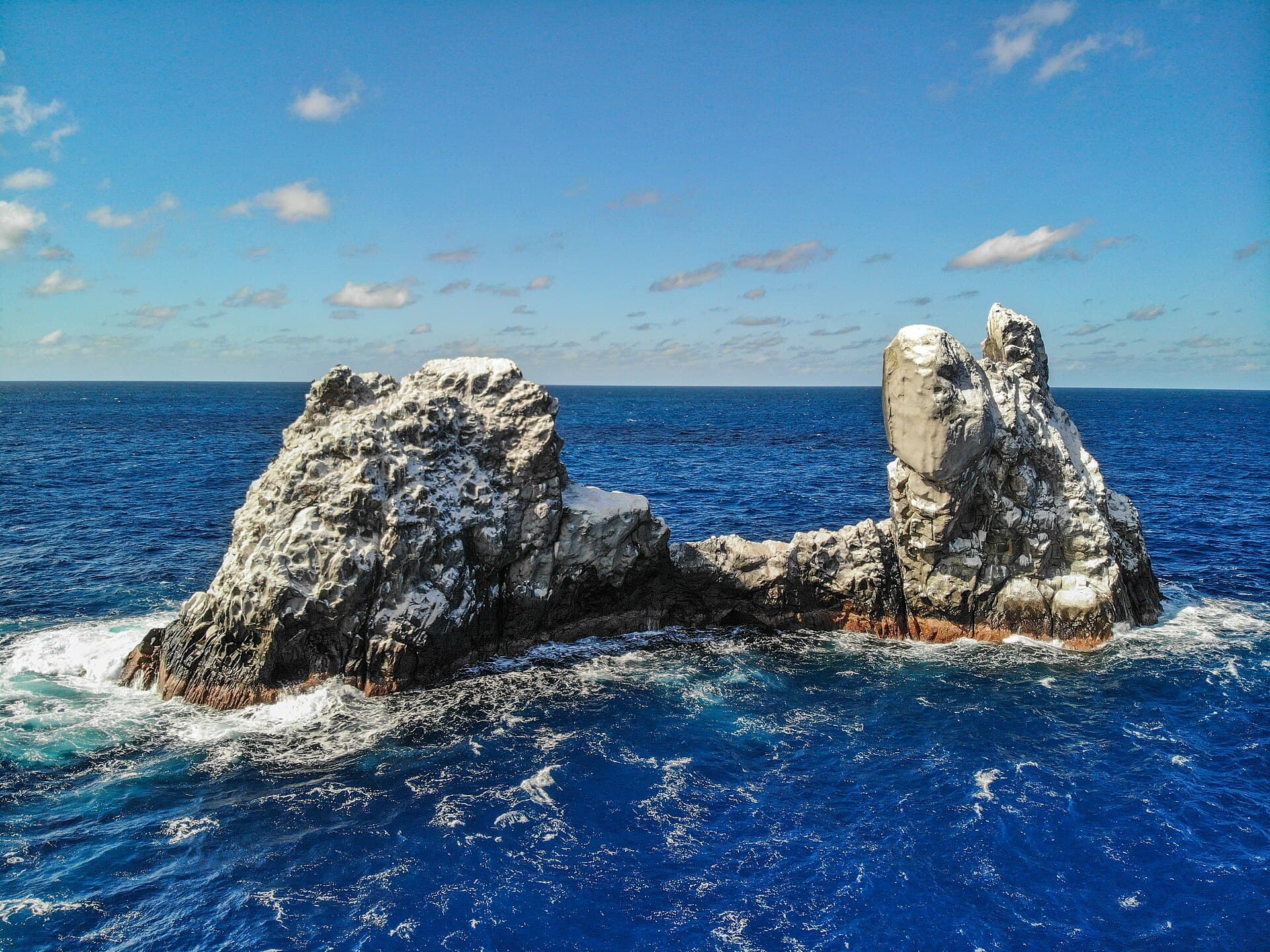 Roca Partida dive site, Socorro