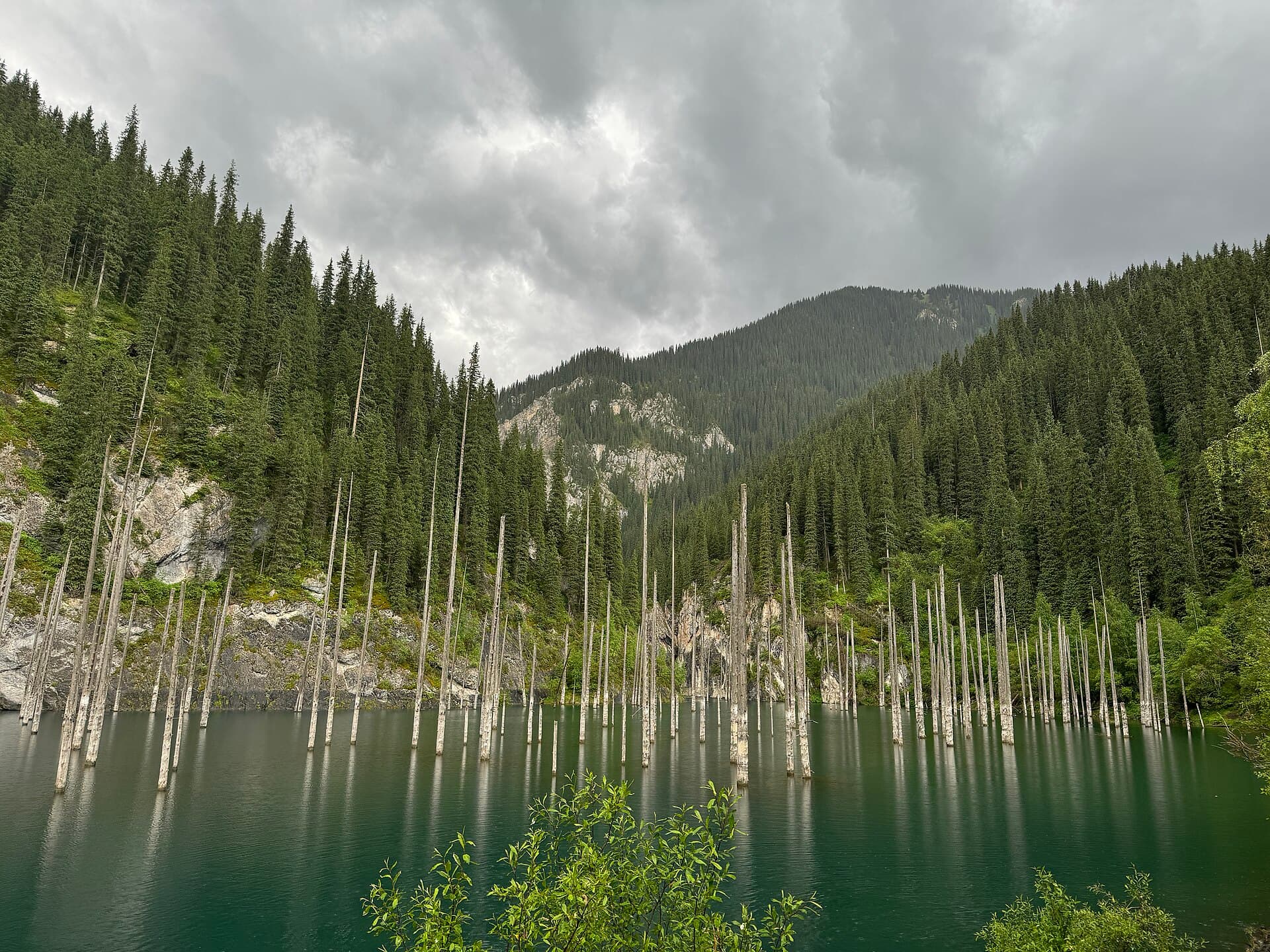 Drowned spruce trunks rising from Lake Kaindy, Kazakhstan