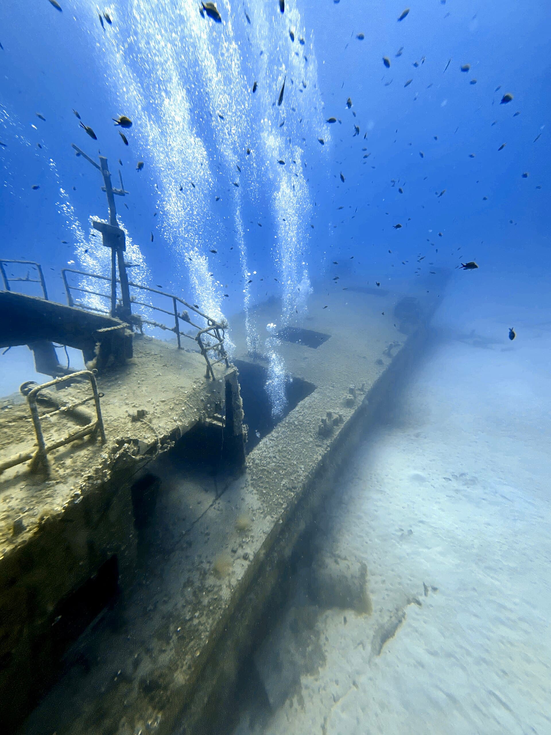 P31 Wreck dive site, Malta / Gozo / Comino