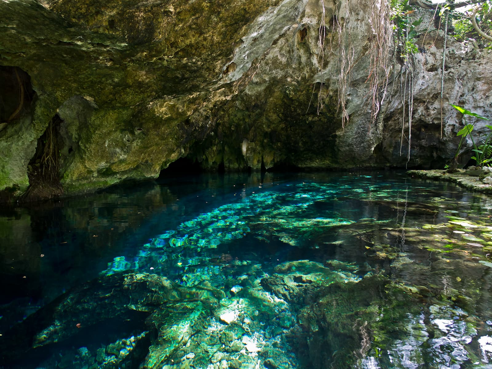 Gran Cenote dive site, Riviera Maya Cenotes