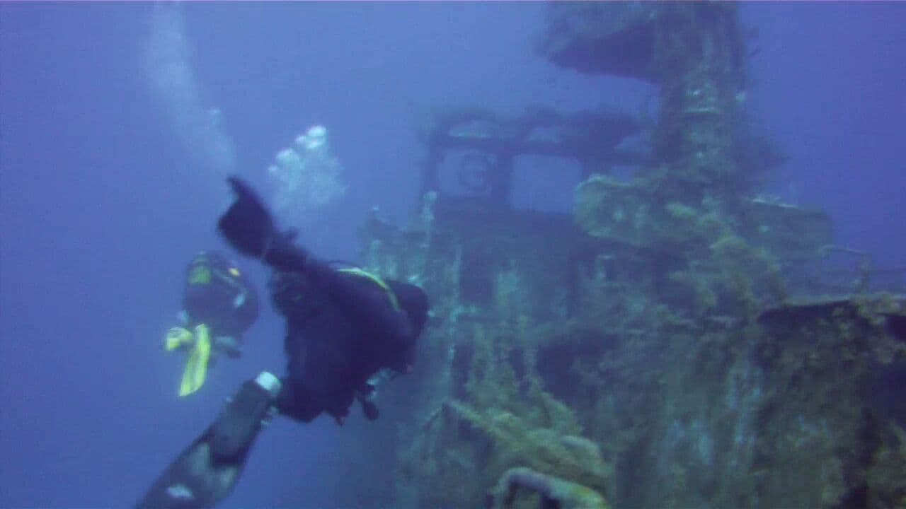 P29 Boltenhagen Wreck dive site, Malta / Gozo / Comino