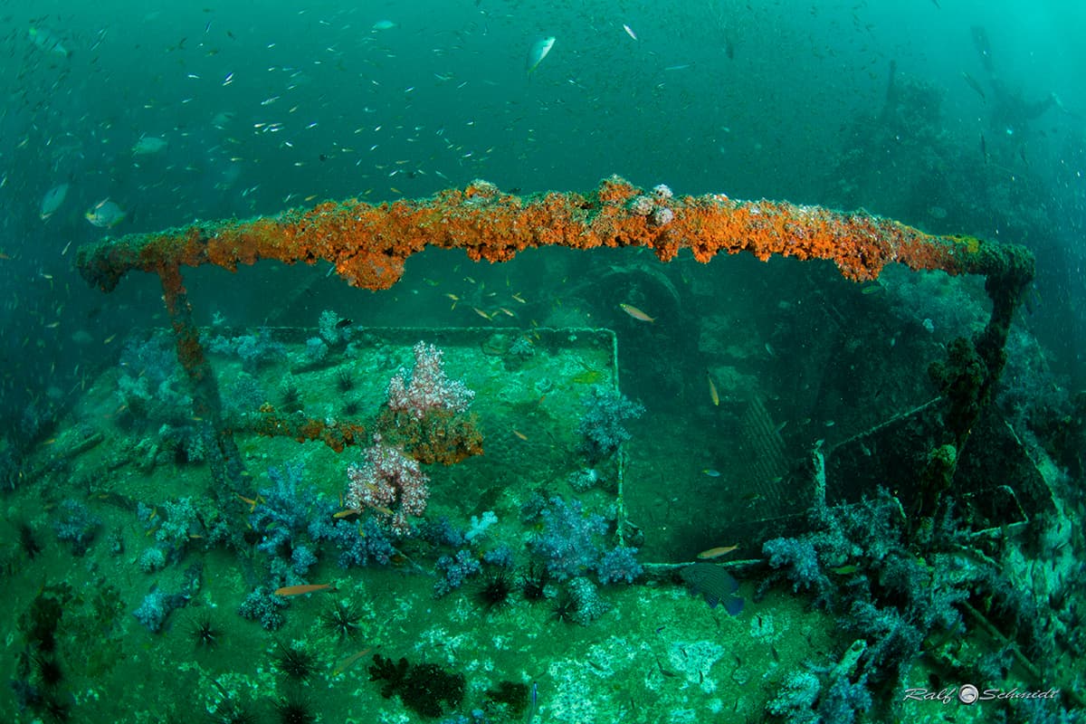 Coral-covered structure of the King Cruiser wreck