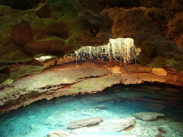 Devil's Den Spring dive site, Florida