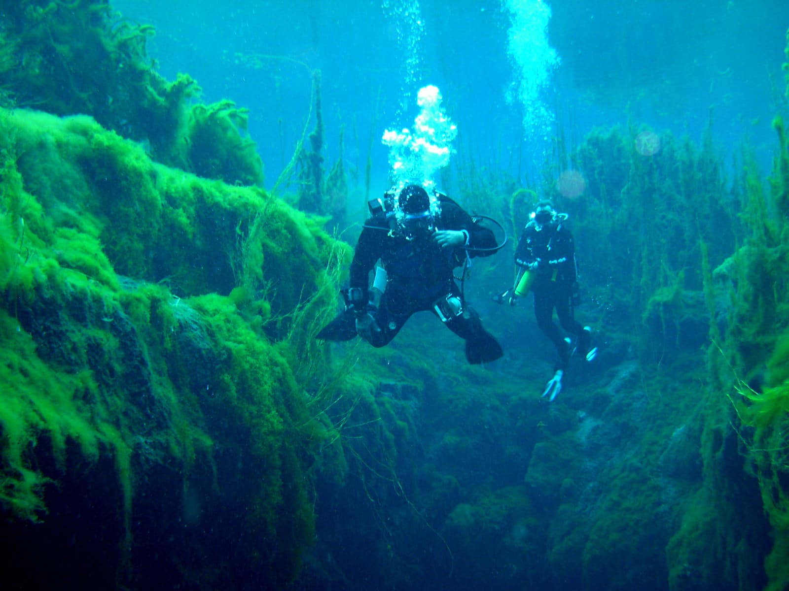 Piccaninnie Ponds dive site, Australia
