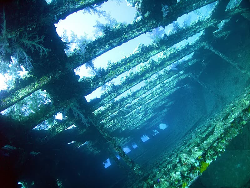 Inside the Carnatic wreck, Abu Nuhas