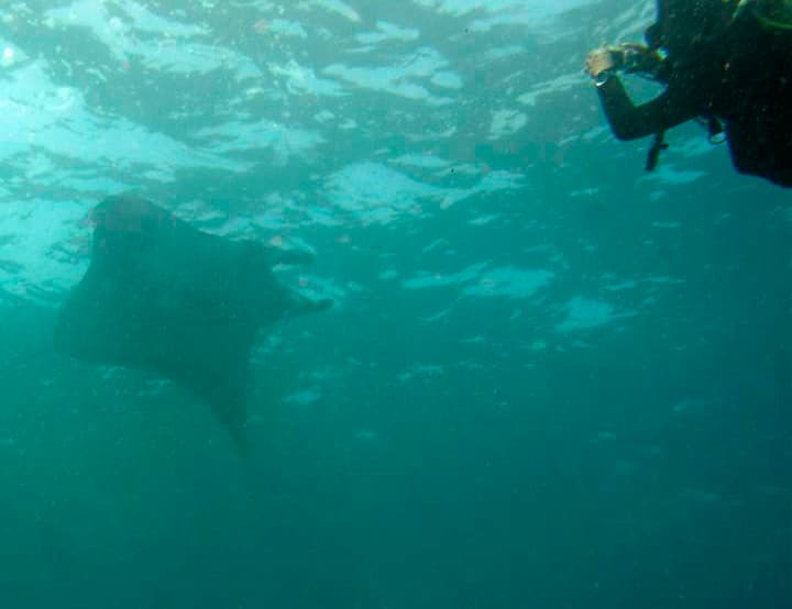 Manta Point Nusa Penida dive site, Bali / Nusa Penida