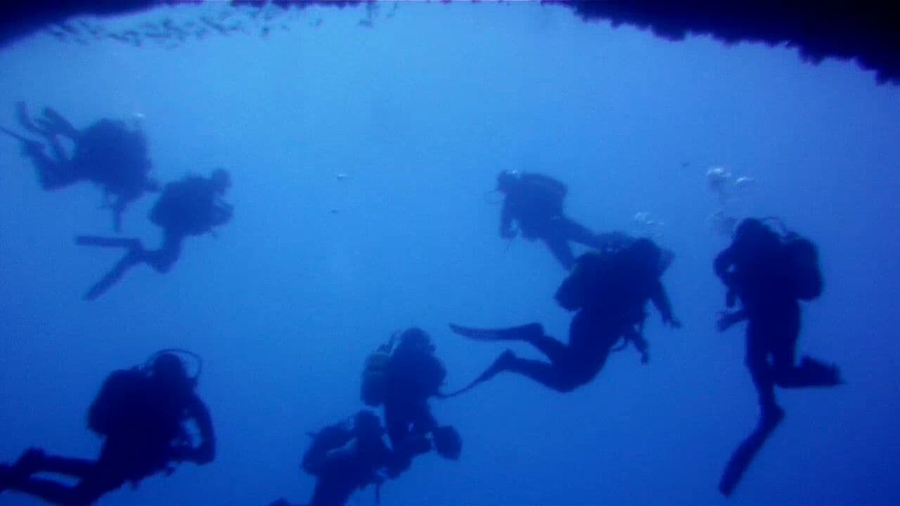 Coral Cave Gozo dive site, Malta / Gozo / Comino