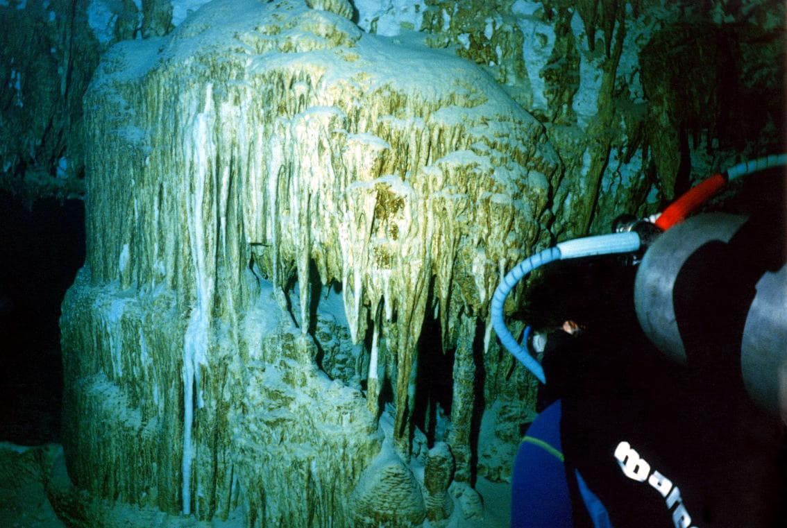 Dos Ojos Cenote dive site, Riviera Maya