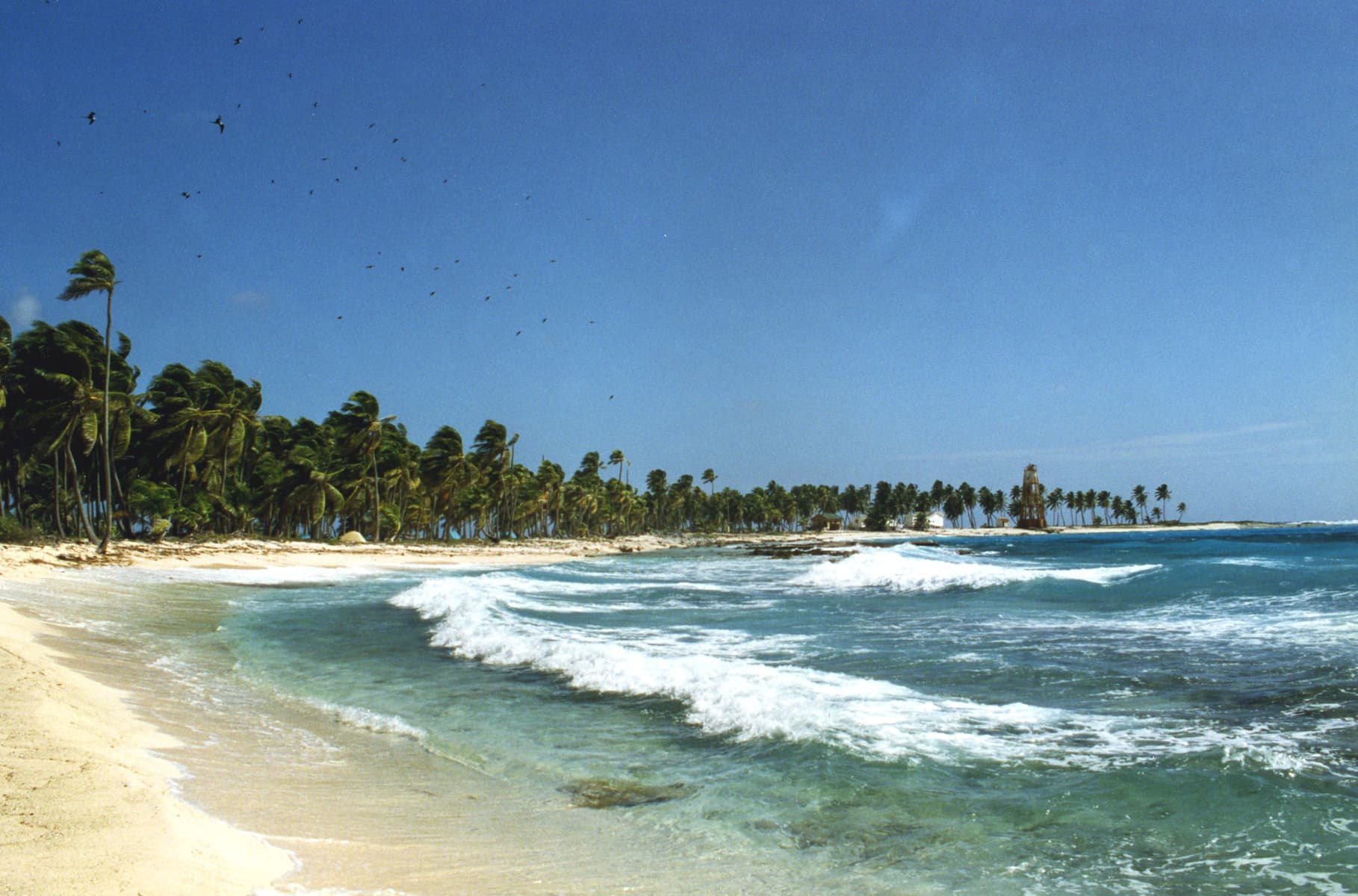 Half Moon Caye, Lighthouse Reef, Belize