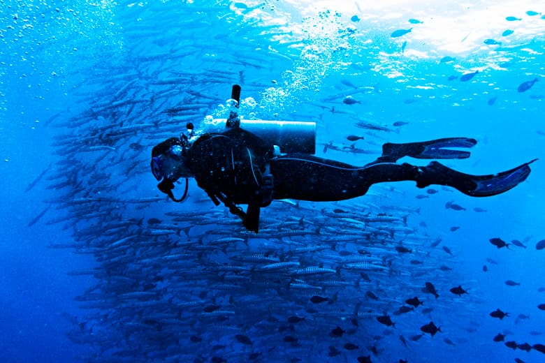 Barracuda Point dive site, Sipadan / Semporna