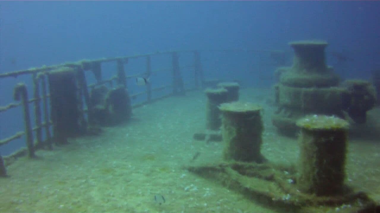 Um El Faroud Wreck dive site, Malta / Gozo / Comino