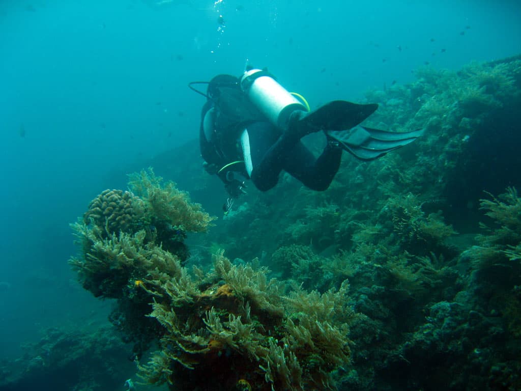 USAT Liberty dive site, Bali / Nusa Penida